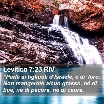 Levitico 7:23 RIV Bible Verse Image