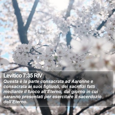 Levitico 7:35 RIV Bible Verse Image