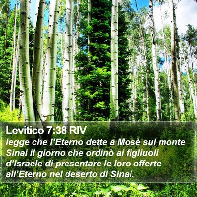 Levitico 7:38 RIV Bible Verse Image