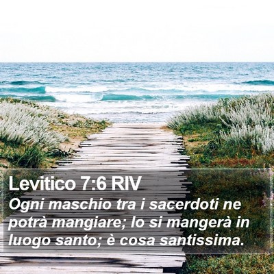 Levitico 7:6 RIV Bible Verse Image