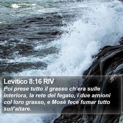Levitico 8:16 RIV Bible Verse Image