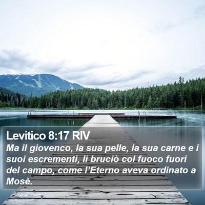 Levitico 8:17 RIV Bible Verse Image
