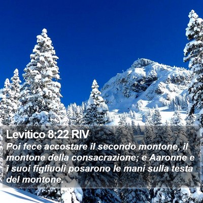 Levitico 8:22 RIV Bible Verse Image