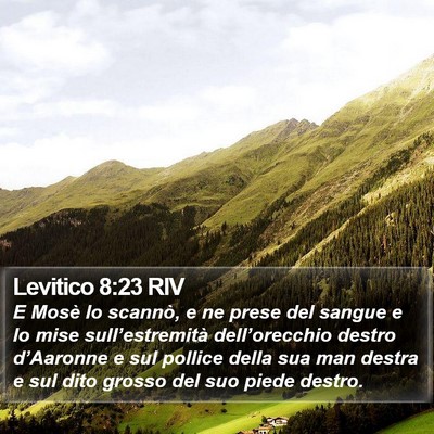 Levitico 8:23 RIV Bible Verse Image
