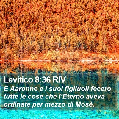 Levitico 8:36 RIV Bible Verse Image