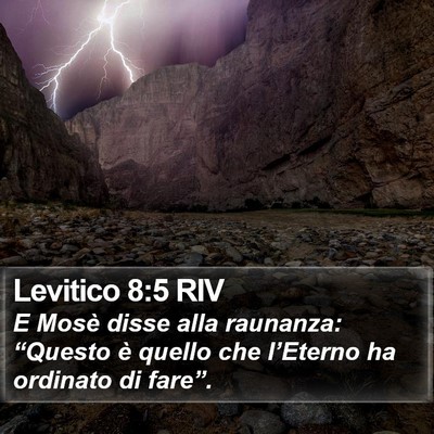 Levitico 8:5 RIV Bible Verse Image