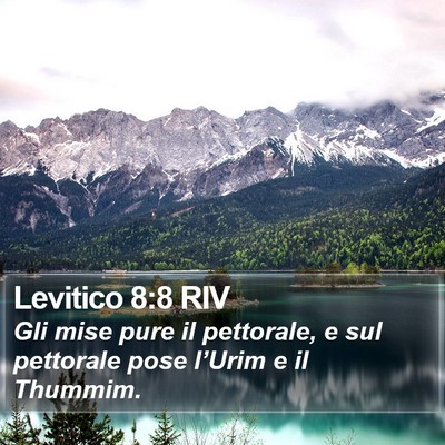 Levitico 8:8 RIV Bible Verse Image