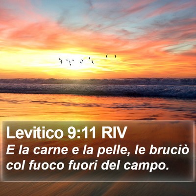 Levitico 9:11 RIV Bible Verse Image