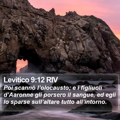 Levitico 9:12 RIV Bible Verse Image