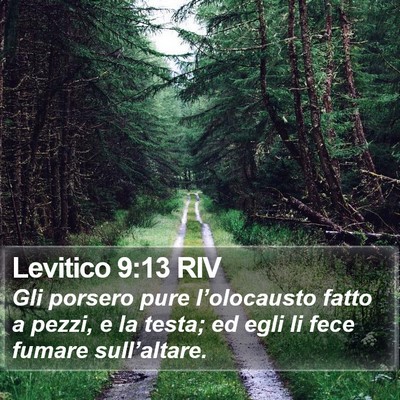 Levitico 9:13 RIV Bible Verse Image