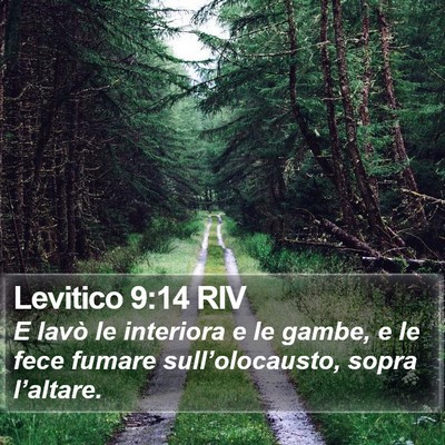 Levitico 9:14 RIV Bible Verse Image