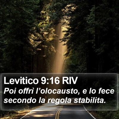 Levitico 9:16 RIV Bible Verse Image