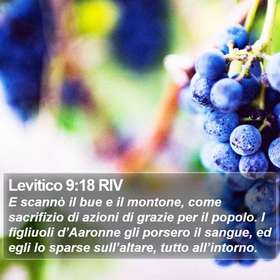 Levitico 9:18 RIV Bible Verse Image