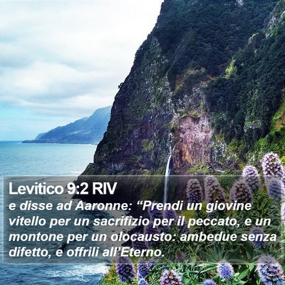 Levitico 9:2 RIV Bible Verse Image