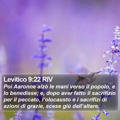 Levitico 9:22 RIV Bible Verse Image