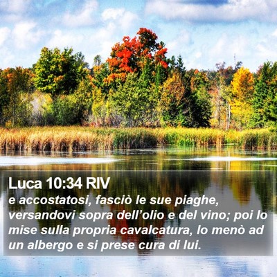 Luca 10:34 RIV Bible Verse Image