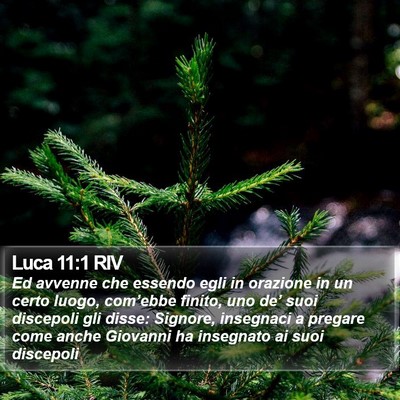 Luca 11:1 RIV Bible Verse Image
