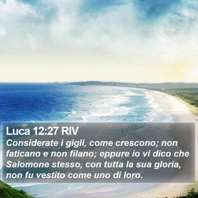 Luca 12:27 RIV Bible Verse Image