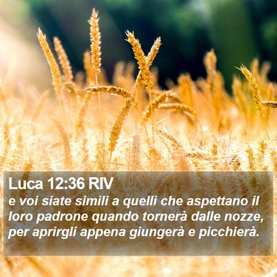 Luca 12:36 RIV Bible Verse Image