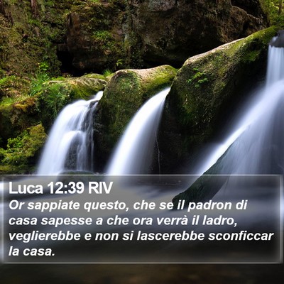Luca 12:39 RIV Bible Verse Image