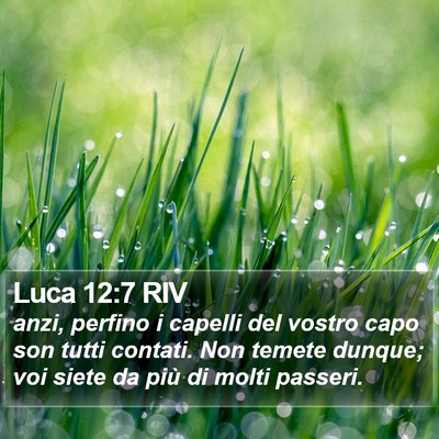Luca 12:7 RIV Bible Verse Image