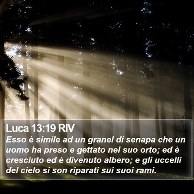Luca 13:19 RIV Bible Verse Image