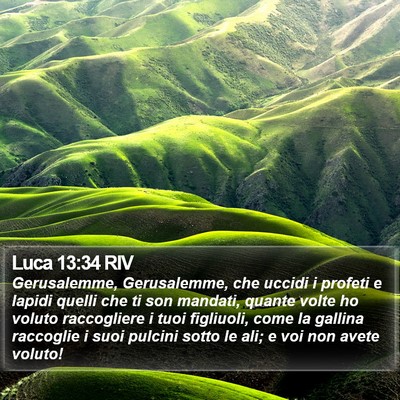 Luca 13:34 RIV Bible Verse Image