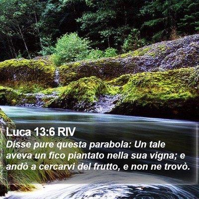 Luca 13:6 RIV Bible Verse Image