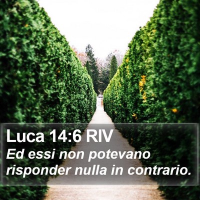 Luca 14:6 RIV Bible Verse Image
