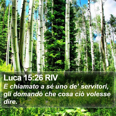 Luca 15:26 RIV Bible Verse Image