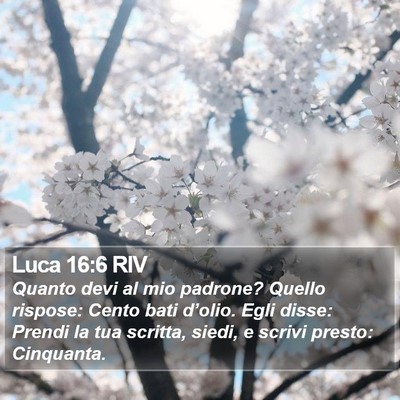 Luca 16:6 RIV Bible Verse Image