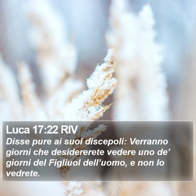 Luca 17:22 RIV Bible Verse Image