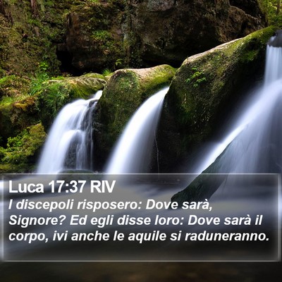 Luca 17:37 RIV Bible Verse Image