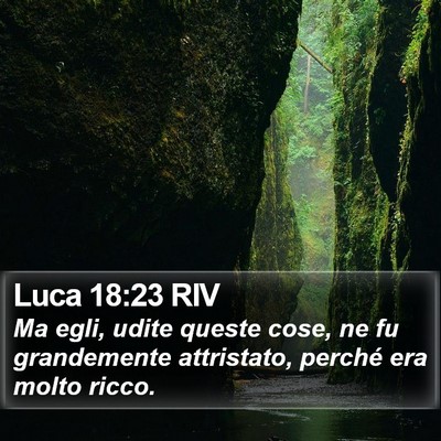 Luca 18:23 RIV Bible Verse Image