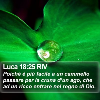 Luca 18:25 RIV Bible Verse Image