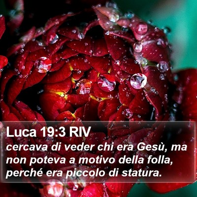 Luca 19:3 RIV Bible Verse Image