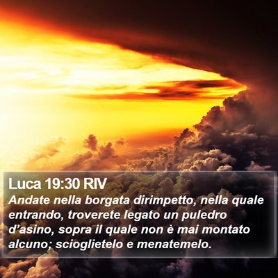 Luca 19:30 RIV Bible Verse Image
