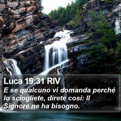 Luca 19:31 RIV Bible Verse Image