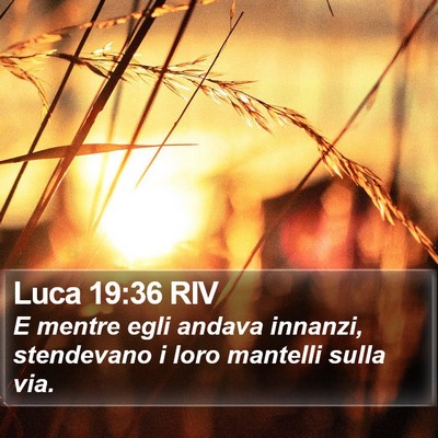 Luca 19:36 RIV Bible Verse Image