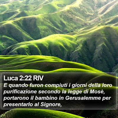 Luca 2:22 RIV Bible Verse Image