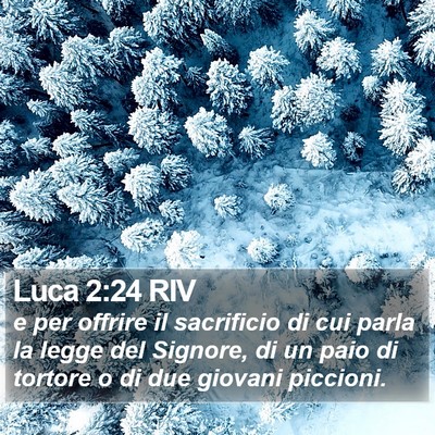Luca 2:24 RIV Bible Verse Image