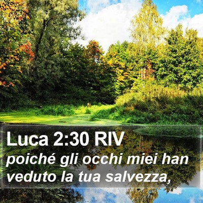 Luca 2:30 RIV Bible Verse Image