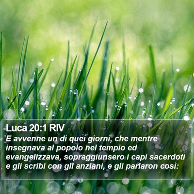 Luca 20:1 RIV Bible Verse Image