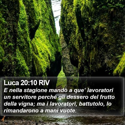 Luca 20:10 RIV Bible Verse Image