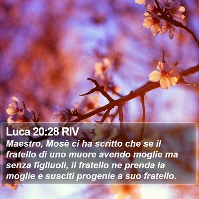 Luca 20:28 RIV Bible Verse Image