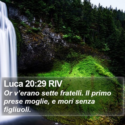 Luca 20:29 RIV Bible Verse Image