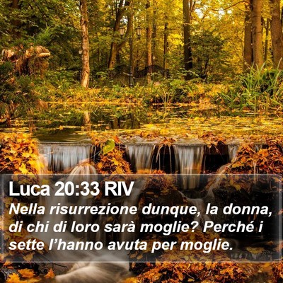 Luca 20:33 RIV Bible Verse Image