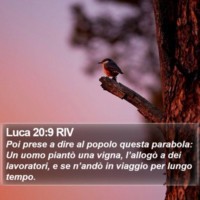 Luca 20:9 RIV Bible Verse Image