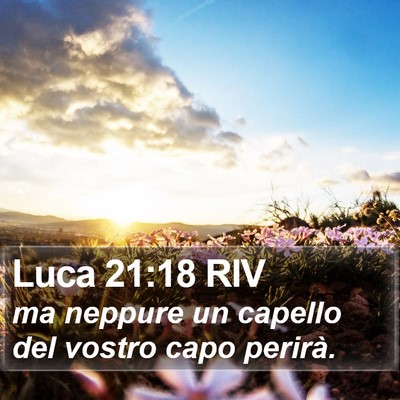 Luca 21:18 RIV Bible Verse Image