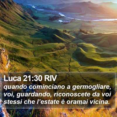 Luca 21:30 RIV Bible Verse Image